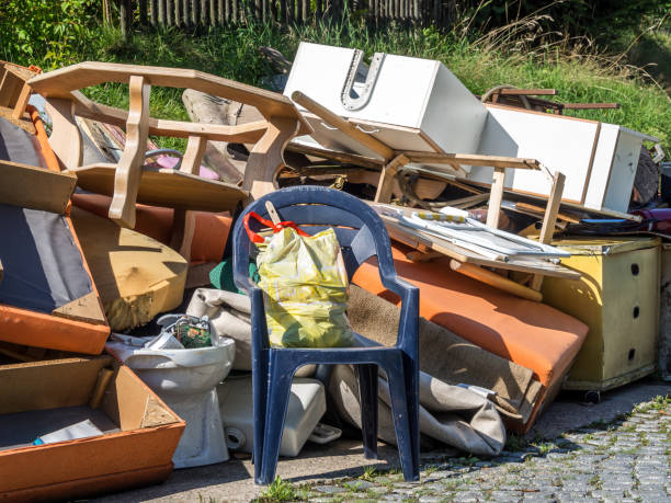 Best Furniture Removal Near Me  in Blue Earth, MN