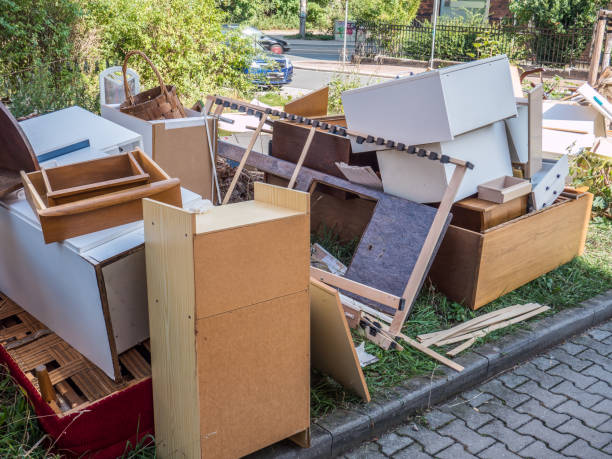 Best Electronics Removal Services  in Blue Earth, MN